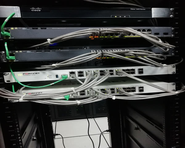 香港VPS服务商的市场动态与价格走势